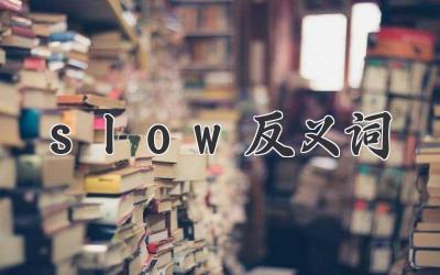 slow反义词