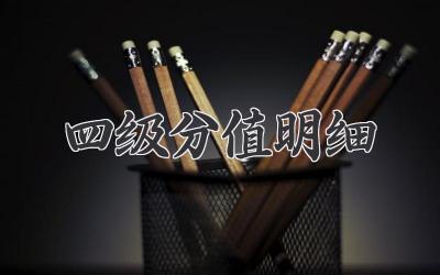 四级分值明细