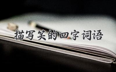 描写笑的四字词语