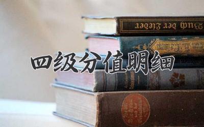 四级分值明细