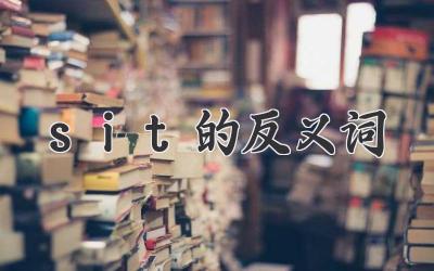 sit的反义词
