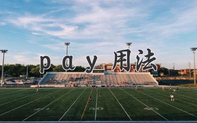 pay用法
