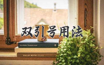 双引号用法