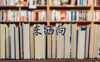 东西向