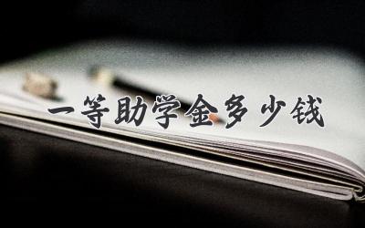 一等助学金多少钱