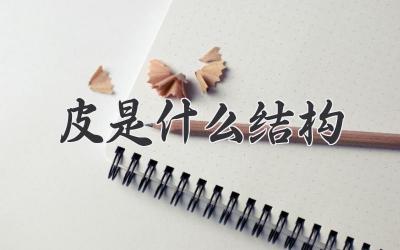 皮是什么结构