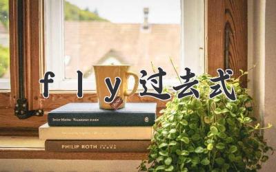 fly过去式