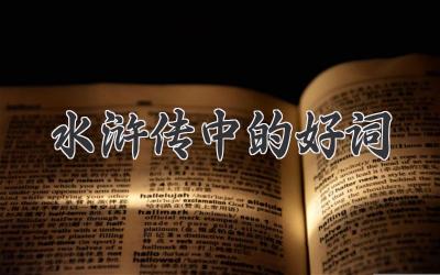 水浒传中的好词