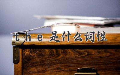 the是什么词性