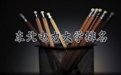 东北电力大学排名