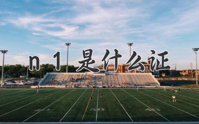 n1是什么证