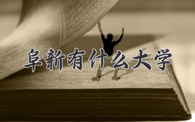 阜新有什么大学