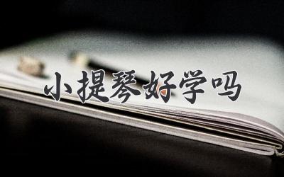 小提琴好学吗