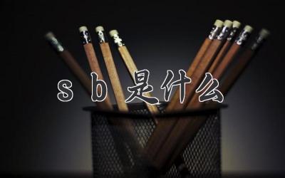 sb是什么