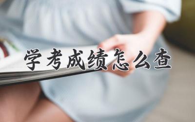 学考成绩怎么查