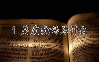 1是质数吗为什么