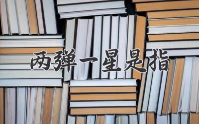 两弹一星是指
