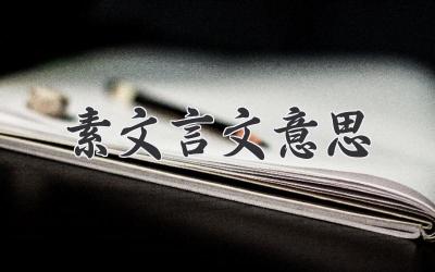 素文言文意思