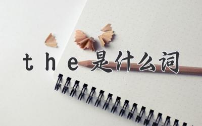 the是什么词