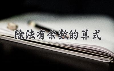 除法有余数的算式