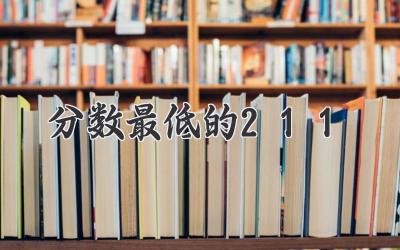 分数最低的211