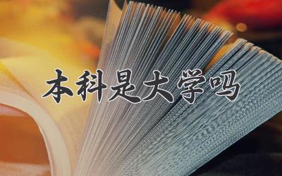 本科是大学吗
