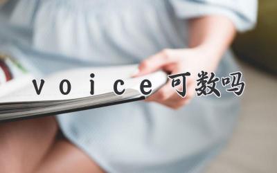 voice可数吗