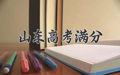 山东高考满分