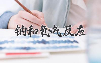钠和氧气反应