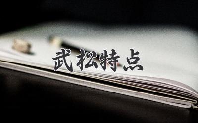 武松特点