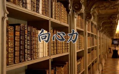 向心力