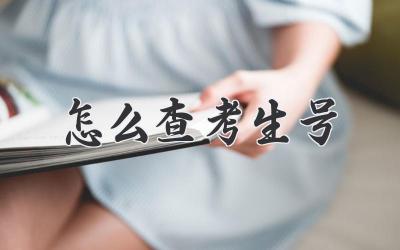 怎么查考生号
