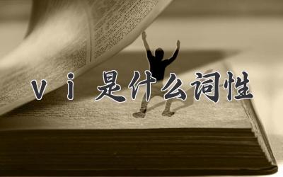 vi是什么词性