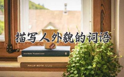 描写人外貌的词语