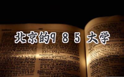 北京的985大学