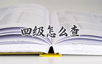四级怎么查
