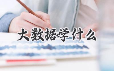 大数据学什么