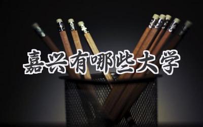 嘉兴有哪些大学