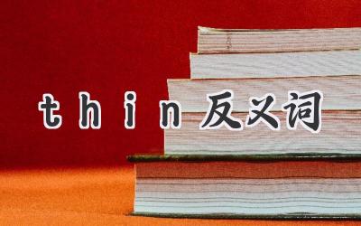 thin反义词