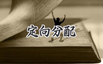 定向分配
