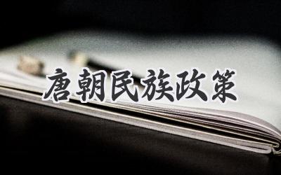 唐朝民族政策