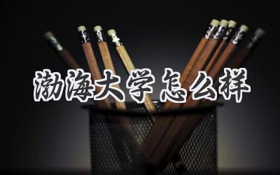 渤海大学怎么样