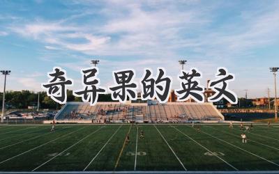 奇异果的英文