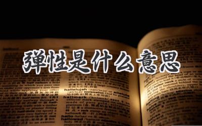 弹性是什么意思