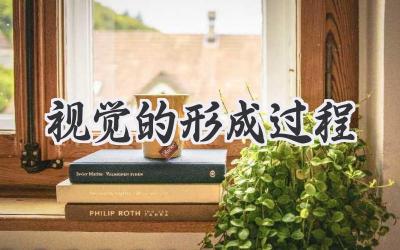 视觉的形成过程