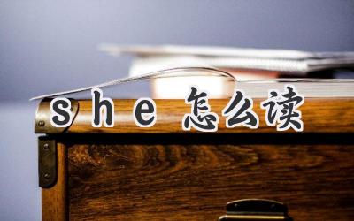 she怎么读