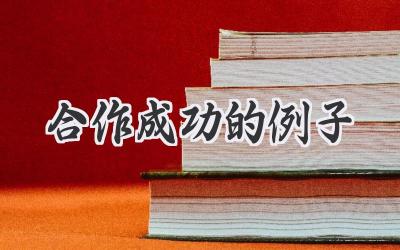 合作成功的例子
