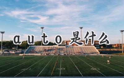auto是什么