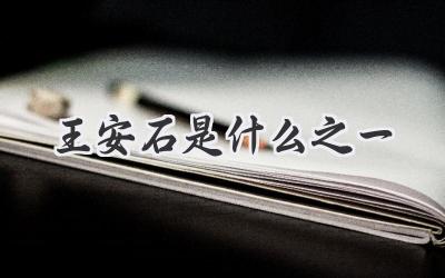 王安石是什么之一