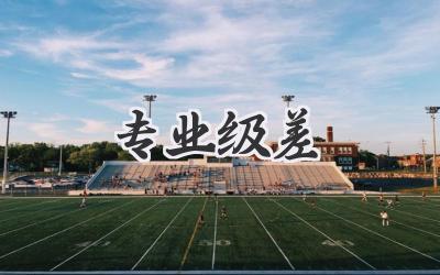 专业级差